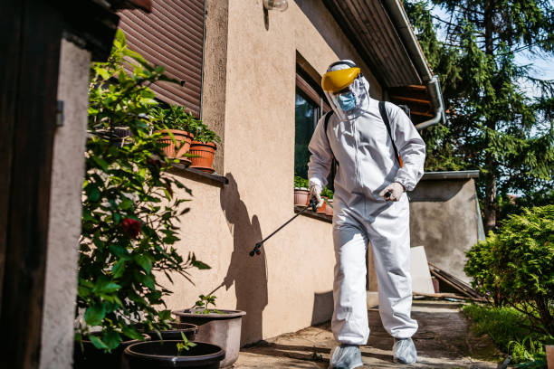 Trusted Marbleton, WY Pest Control Experts