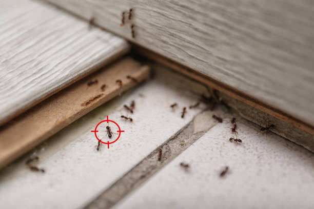 Best Pest Control Near Me in Marbleton, WY